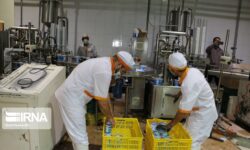 کارخانه شیر وارنا ورامین پس از ۵ سال تعطیلی بازگشایی شد