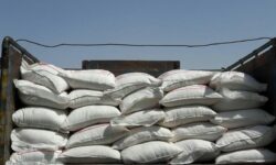 کشف ۵۰ تن شکر قاچاق در بلوچستان