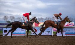 برگزاری مسابقات اسب سواری در گنبد کاووس